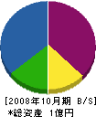 晋正 貸借対照表 2008年10月期