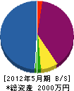 源田技建工業 貸借対照表 2012年5月期