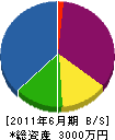 川勝組 貸借対照表 2011年6月期