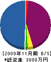 共伸電設 貸借対照表 2009年11月期