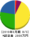 井芹総合開発 貸借対照表 2010年6月期