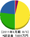 東洲建設 貸借対照表 2011年6月期