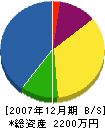 鶴ヶ崎建設 貸借対照表 2007年12月期