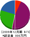 恵誠塗装 貸借対照表 2009年12月期