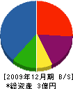 坂電工業 貸借対照表 2009年12月期