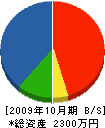 中村工建 貸借対照表 2009年10月期