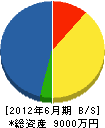 竹田重機建設工業 貸借対照表 2012年6月期