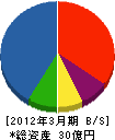 西原ネオ 貸借対照表 2012年3月期