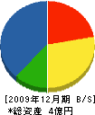 佐藤建業 貸借対照表 2009年12月期