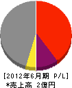 内田工事 損益計算書 2012年6月期