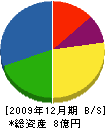 小林 貸借対照表 2009年12月期