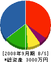 藤田組 貸借対照表 2008年9月期