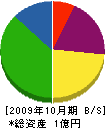 和田電気設備 貸借対照表 2009年10月期