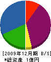 マルコウ丸光建設 貸借対照表 2009年12月期