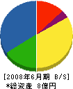 松岡建設 貸借対照表 2008年6月期