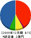 平山工務所 貸借対照表 2009年12月期