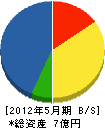 柳沢建設 貸借対照表 2012年5月期