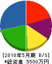 齋藤組 貸借対照表 2010年5月期