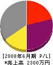 山田組土建 損益計算書 2008年6月期