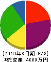 笠原工業 貸借対照表 2010年6月期