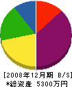 長谷田塗装 貸借対照表 2008年12月期