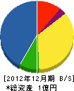 中村電気商会 貸借対照表 2012年12月期