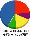 若葉電気商会 貸借対照表 2009年10月期