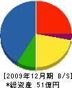 ＡＧＣプライブリコ 貸借対照表 2009年12月期