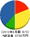 藤沢工業 貸借対照表 2012年6月期