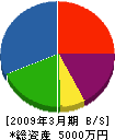 鈴木建設 貸借対照表 2009年3月期