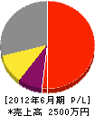 松戸電気 損益計算書 2012年6月期
