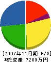 雁子組 貸借対照表 2007年11月期