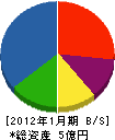 小泉創芸 貸借対照表 2012年1月期