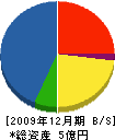 新潟興業 貸借対照表 2009年12月期