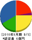 渡辺建設工業 貸借対照表 2010年8月期