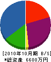 深澤電工 貸借対照表 2010年10月期