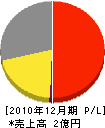 川合車輌 損益計算書 2010年12月期