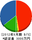 鎌野組 貸借対照表 2012年8月期