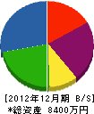 渡辺製畳 貸借対照表 2012年12月期