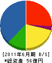 テクノ矢崎 貸借対照表 2011年6月期