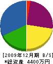 宮本造園 貸借対照表 2009年12月期