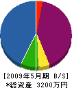ワタリ 貸借対照表 2009年5月期