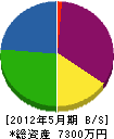 池井アンテナ工事店 貸借対照表 2012年5月期