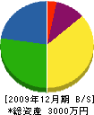 舟元建築 貸借対照表 2009年12月期