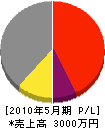 稲沢工業 損益計算書 2010年5月期