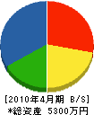 塚田造園建設 貸借対照表 2010年4月期