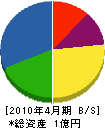 塚本建設工業 貸借対照表 2010年4月期