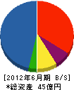 川村工営 貸借対照表 2012年6月期