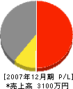 廣澤組 損益計算書 2007年12月期