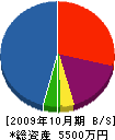 西塚配管工業所 貸借対照表 2009年10月期